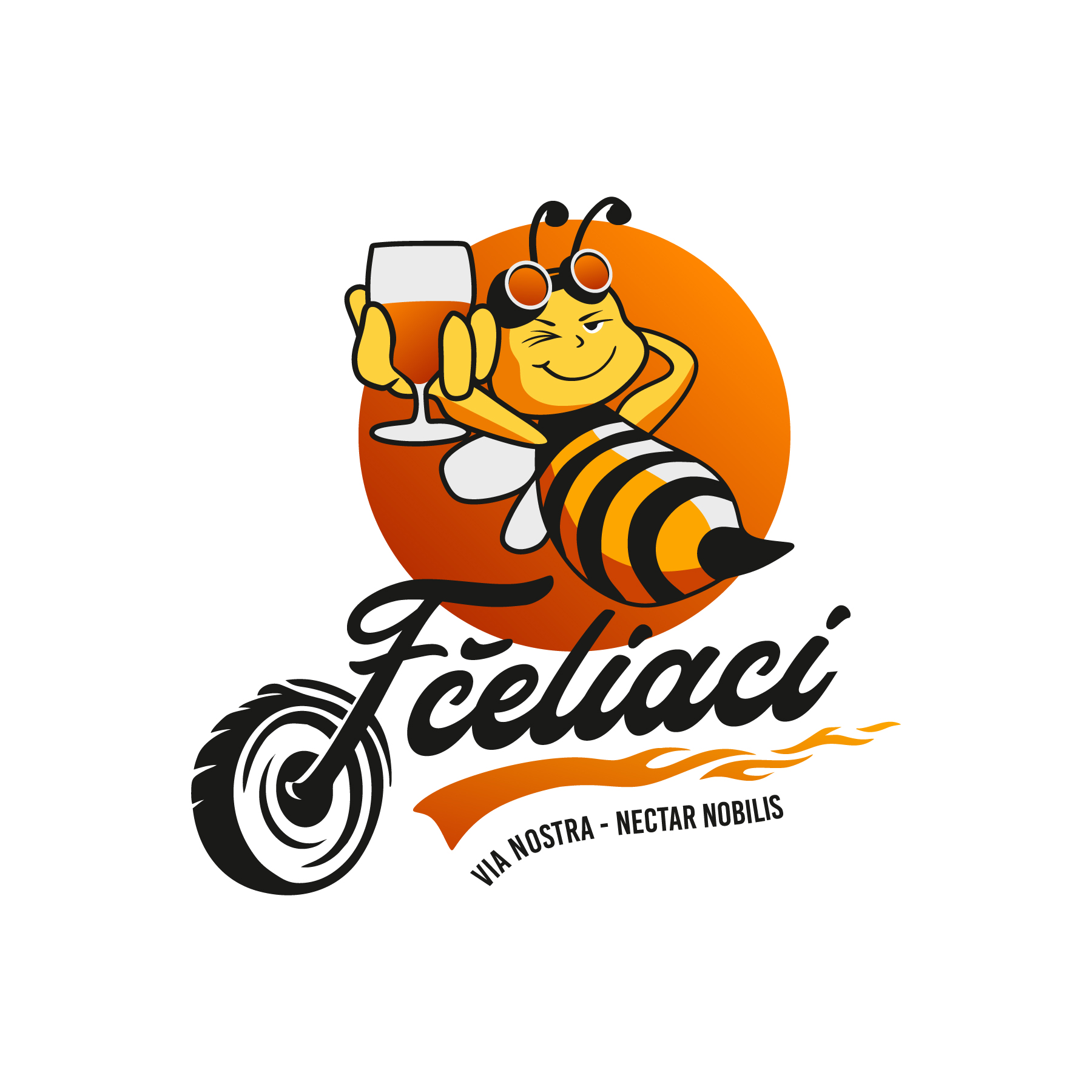 fceliaci.sk